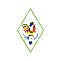 Fowl Animals Fowl Animals