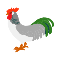 Fowl Animals Fowl Animals