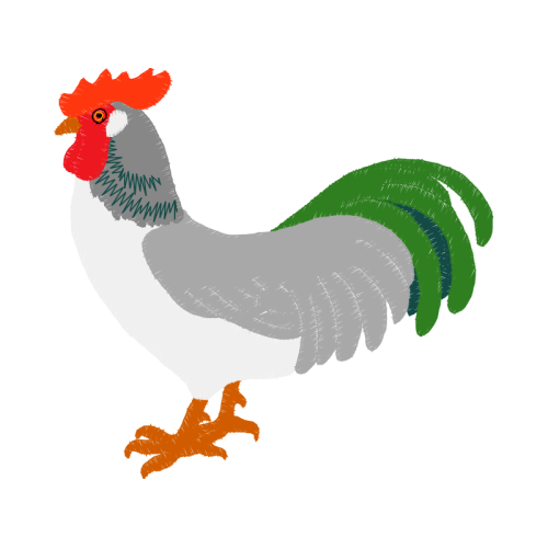 Fowl Animals Fowl Animals