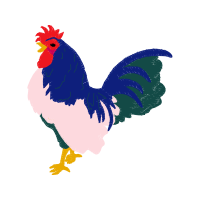 Fowl Animals Fowl Animals