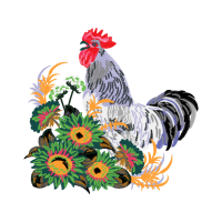 Fowl Animals Fowl Animals