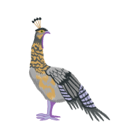 Fowl Animals Fowl Animals