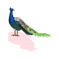 Fowl Animals Fowl Animals