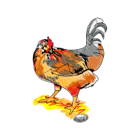 Fowl Animals Fowl Animals