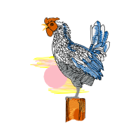 Fowl Animals Fowl Animals