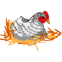 Fowl Animals Fowl Animals