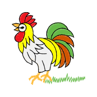 Fowl Animals Fowl Animals