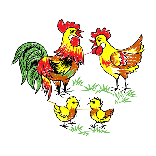 Fowl Animals Fowl Animals