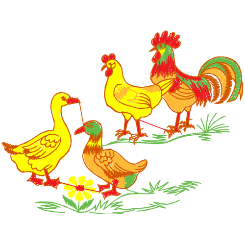 Fowl Animals Fowl Animals
