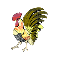 Fowl Animals Fowl Animals