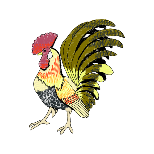 Fowl Animals Fowl Animals