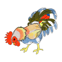 Fowl Animals Fowl Animals