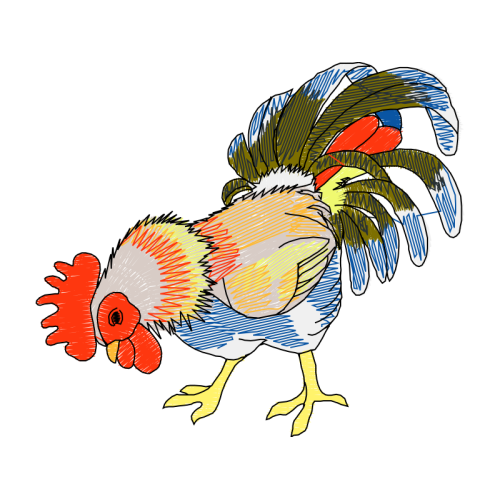 Fowl Animals Fowl Animals