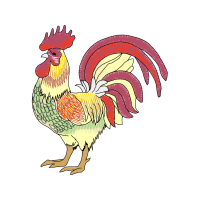 Fowl Animals Fowl Animals