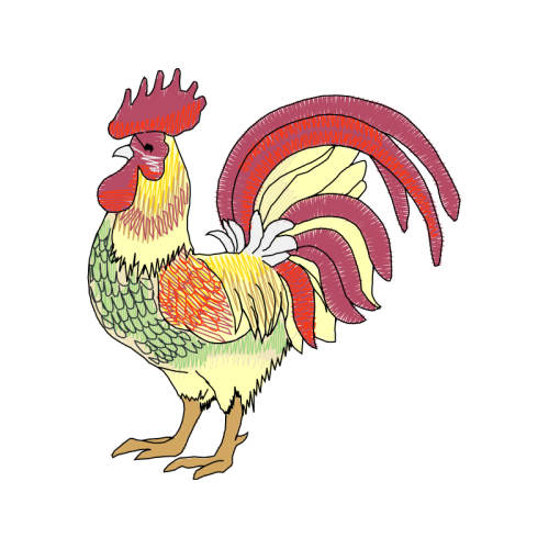 Fowl Animals Fowl Animals