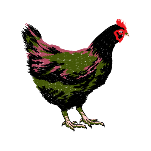 Fowl Animals Fowl Animals