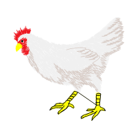 Fowl Animals Fowl Animals