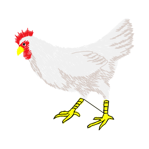 Fowl Animals Fowl Animals