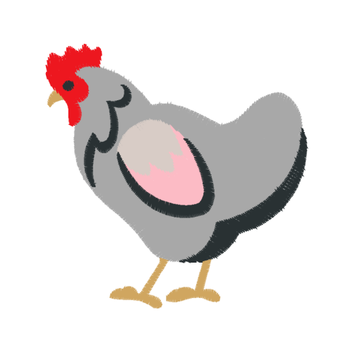 Fowl Animals Fowl Animals