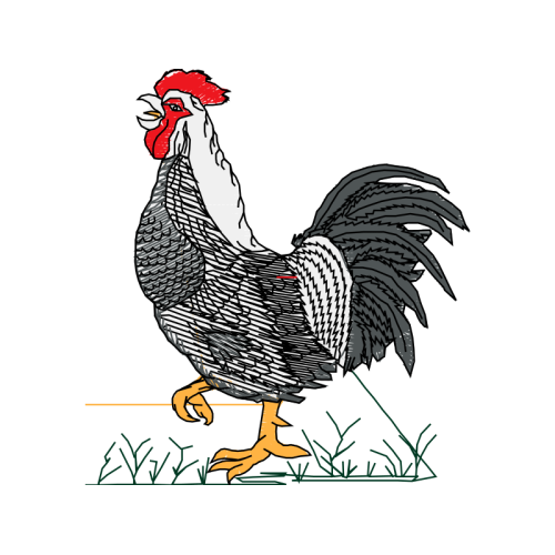 Fowl Animals Fowl Animals