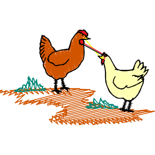 Fowl Animals Fowl Animals