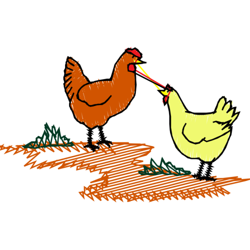 Fowl Animals Fowl Animals