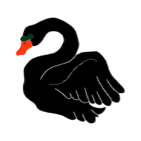 Fowl Animals Fowl Animals