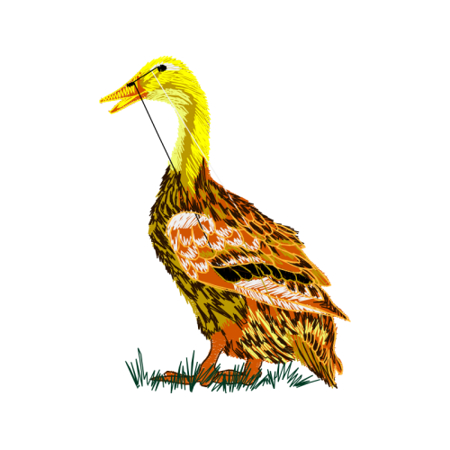 Fowl Animals Fowl Animals