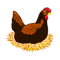 Fowl Animals Fowl Animals