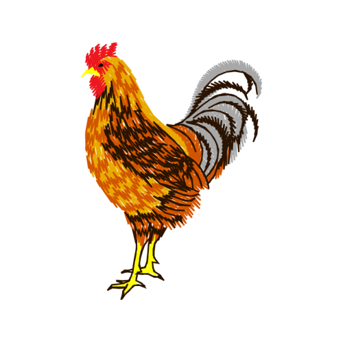 Fowl Animals Fowl Animals