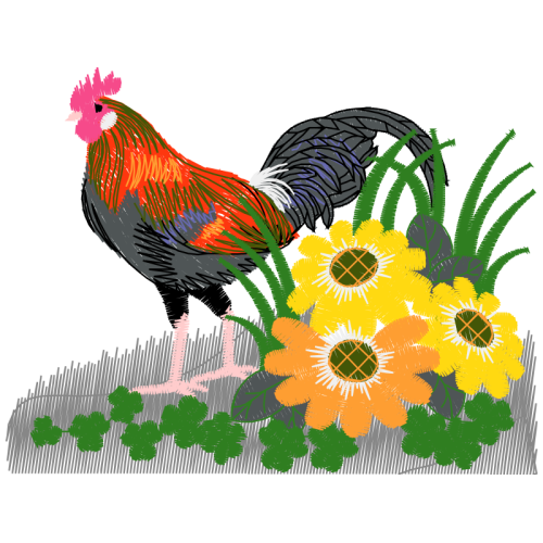 Fowl Animals Fowl Animals