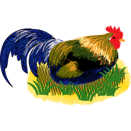 Fowl Animals Fowl Animals