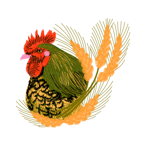 Fowl Animals Fowl Animals