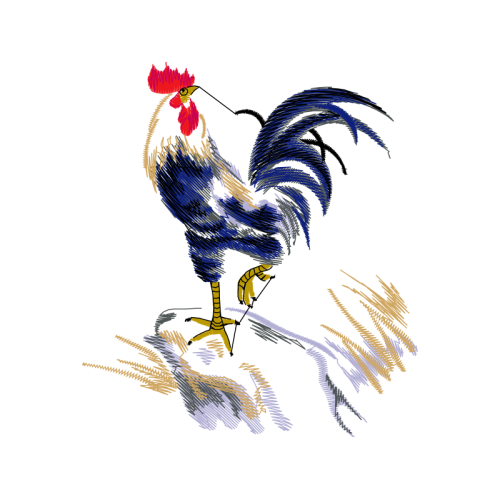 Fowl Animals Fowl Animals