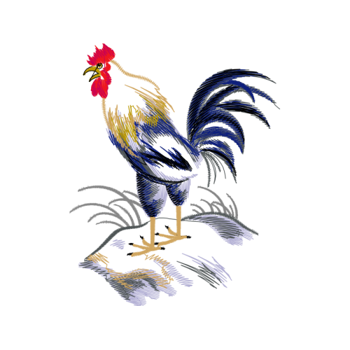 Fowl Animals Fowl Animals