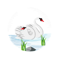 Fowl Animals Fowl Animals