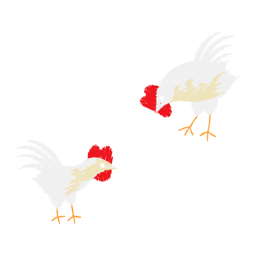 Fowl Animals Fowl Animals