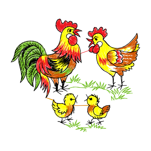 Fowl Animals Fowl Animals