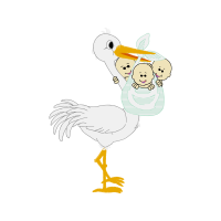 Fowl Animals Fowl Animals