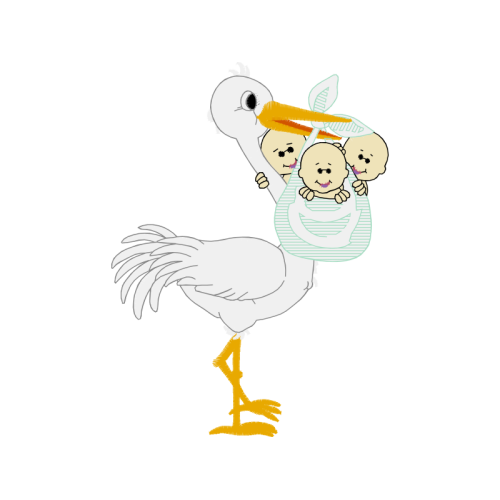 Fowl Animals Fowl Animals