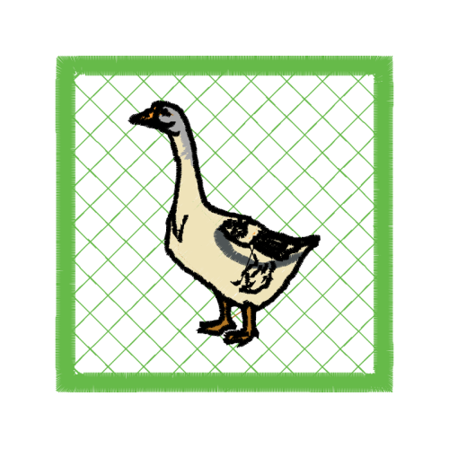 Fowl Animals Fowl Animals