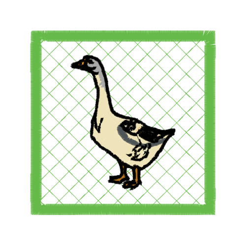 Fowl Animals Fowl Animals