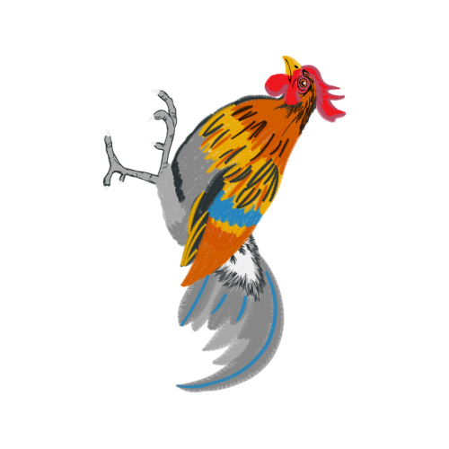 Fowl Animals Fowl Animals