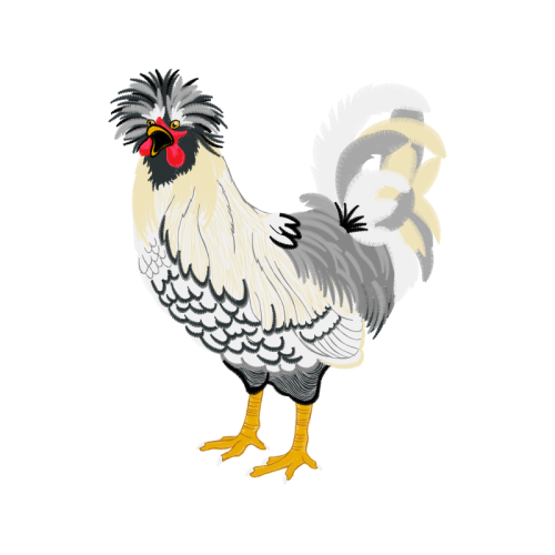 Fowl Animals Fowl Animals