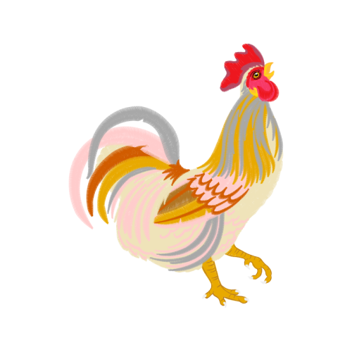 Fowl Animals Fowl Animals