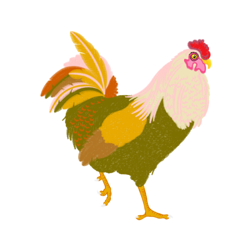 Fowl Animals Fowl Animals