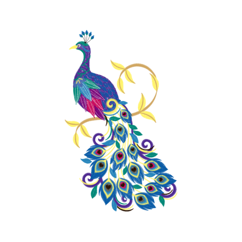 Fowl Animals Fowl Animals