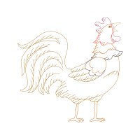 Fowl Animals Fowl Animals