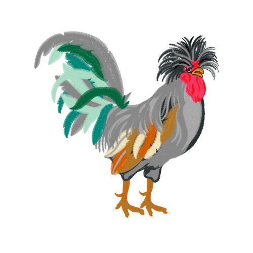 Fowl Animals Fowl Animals