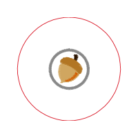 Fowl Animals Fowl Animals